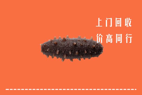 高价求购：合肥回收海参